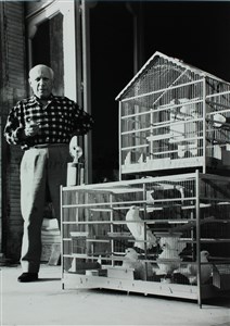 Image description is not available for 2013.072